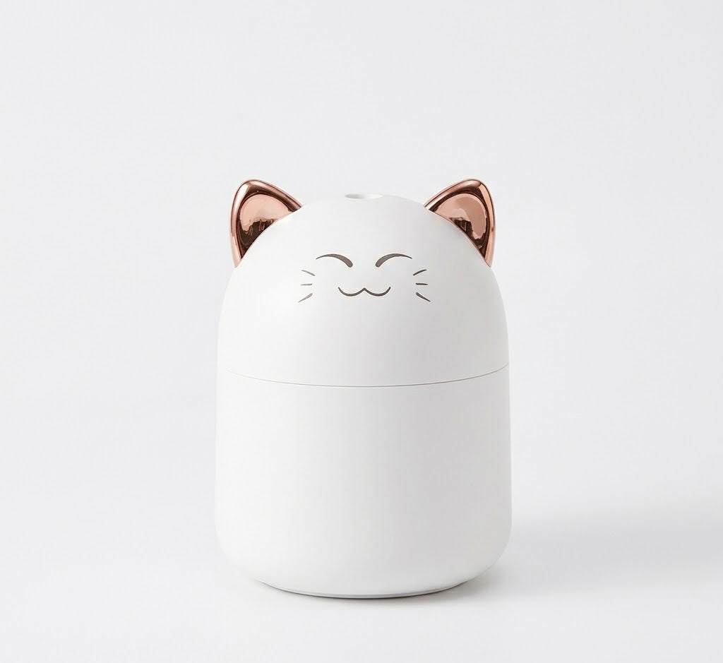Humidificateur d'air <br> Catimist