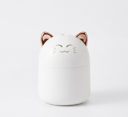 Humidificateur d'air <br> Catimist