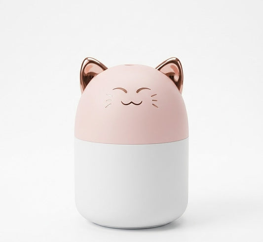 Humidificateur d'air <br> Catimist